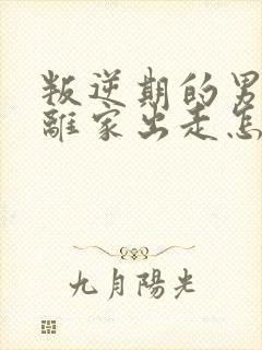 叛逆期的男孩子离家出走怎么去引导初中生