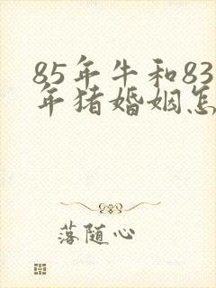 85年牛和83年猪婚姻怎么样