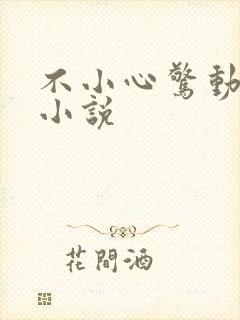 不小心惊动全朝小说