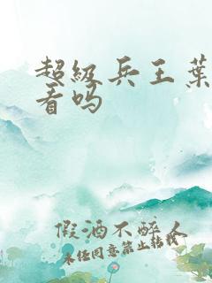 超级兵王叶谦好看吗