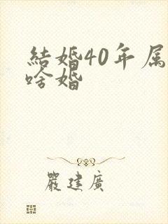结婚40年属于啥婚