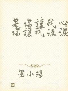 是你让我心碎是你让我流泪什么歌