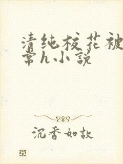 清纯校花被脔日常h小说