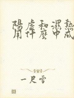 阳虚和湿热体质用什么中成药好