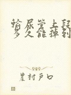 输尿管上段结石多久能掉到中下段