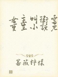 女主叫卫云岚的重生小说免费阅读