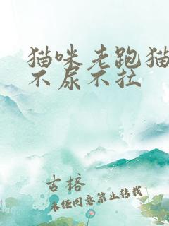 猫咪老跑猫砂盆不尿不拉