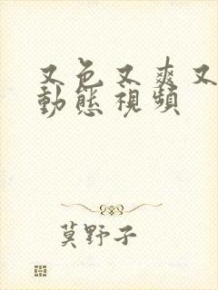 又色又爽又黄的动态视频