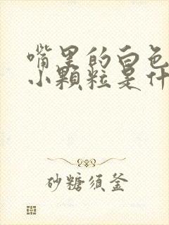 嘴里的白色发臭小颗粒是什么