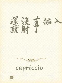 还没有插入阴道就射了