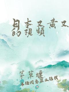 日本又黄又粗暴的视频