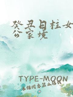 癸丑日柱女命老公家境