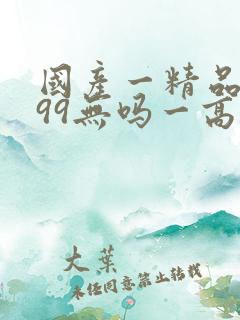 国产一精品久久99无吗一高潮