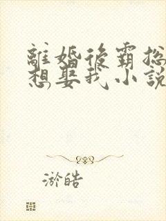 离婚后霸总天天想娶我小说全文阅读