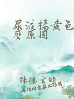 尿液橘黄色是什么原因