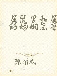 属鼠男和属龙女的婚姻怎么样