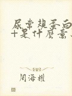 尿常规蛋白质1+是什么意思