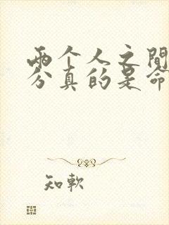 两个人之间的缘分真的是命中注定吗