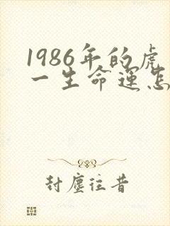 1986年的虎一生命运怎样