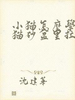 小猫怎么学会在猫砂盆里拉屎