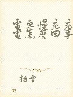 电车慢充充不进电怎么回事