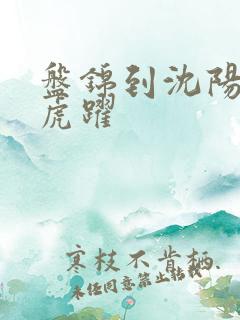 盘锦到沈阳客车虎跃