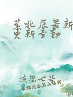 叶北辰最新最快更新章节