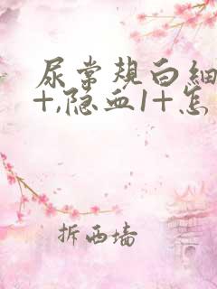 尿常规白细胞3+,隐血1+怎么回事