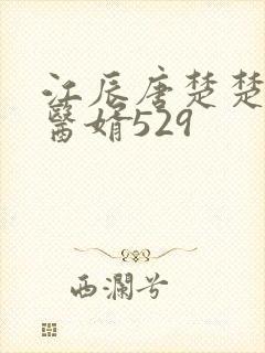 江辰唐楚楚龙王医婿529