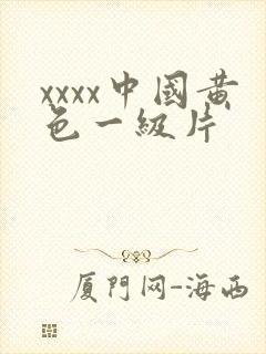 xxxx中国黄色一级片