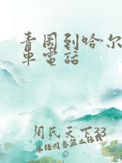 青冈到哈尔滨客车电话