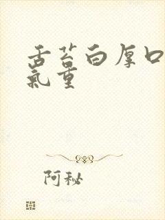 舌苔白厚口苦湿气重