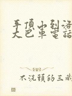 平顶山到洛阳的大巴车电话