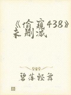 《偷窥438》未删减