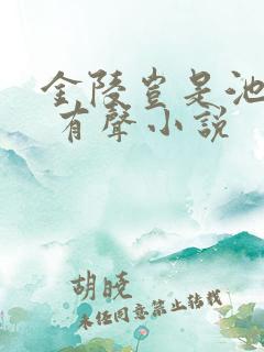 金陵岂是池中物 有声小说