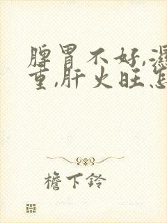 脾胃不好,湿气重,肝火旺怎么调理