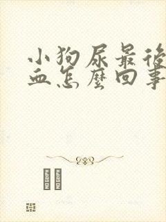 小狗尿最后带点血怎么回事