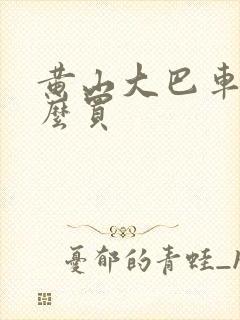 黄山大巴车票怎么买