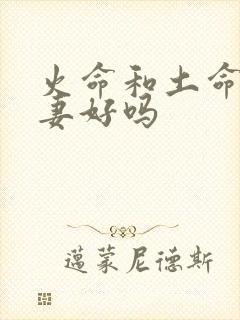 火命和土命的夫妻好吗