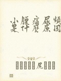 小腹痛尿频尿痛是什么原因造成的