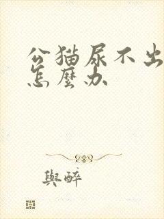 公猫尿不出来尿怎么办