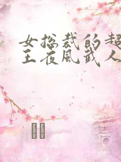 女总裁的超级兵王夜风武人物关系