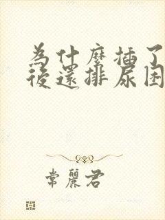 为什么插了尿管后还排尿困难