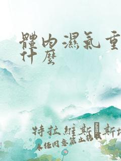 体内湿气重少吃什么