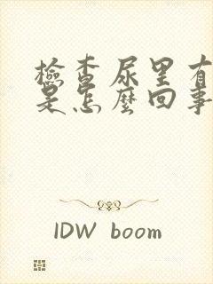 检查尿里有隐血是怎么回事