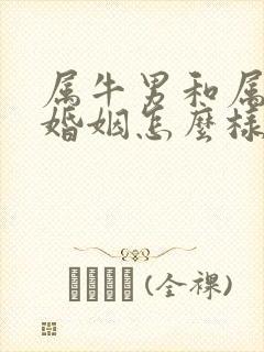 属牛男和属龙女婚姻怎么样