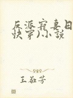 反派宠妻日常(快穿)小说