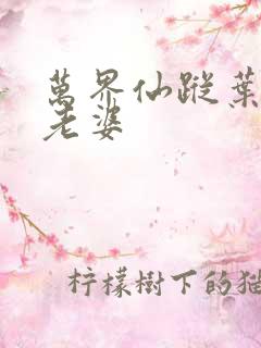 万界仙踪叶星云老婆