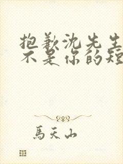 抱歉沈先生孩子不是你的短剧全集观看