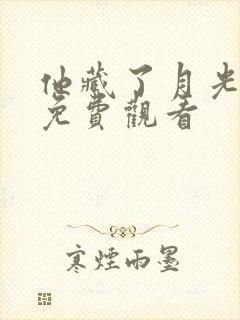 他藏了月光短剧免费观看